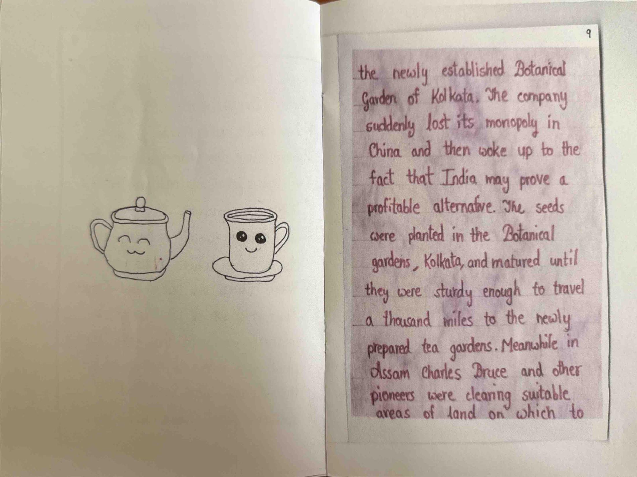 A smiling teapot and cup, and tea seedlings reaching the Botanical Gardens of Kolkata